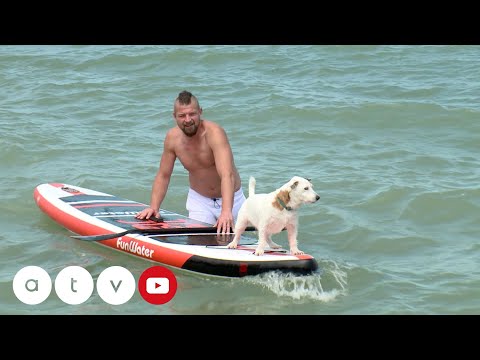 HAZAHÚZÓ – Fonyódi nyár