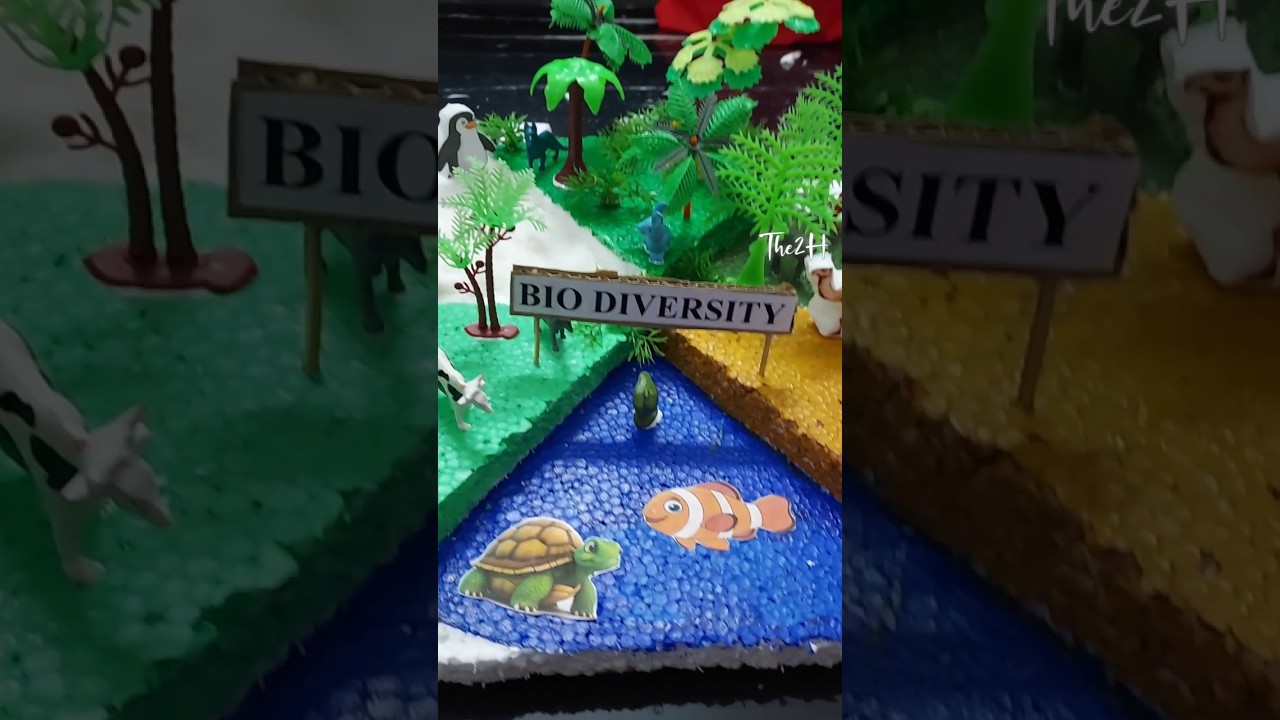 Bio Diversity Project | School Project | Biodiversity Model Project | Ecosystem Model