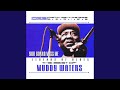 Iodine In My Coffee - Muddy Waters - Topic Iodine In My Coffee