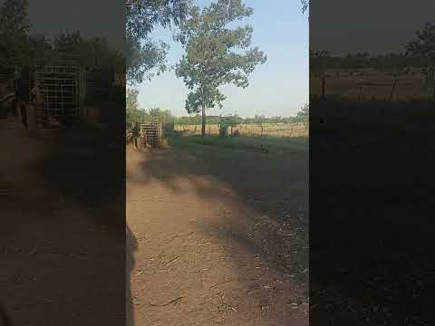 no hay nadie en Luján de (la familias somos buenos la serie)