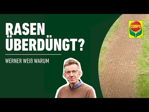 Rasen überdüngt: Was kann man tun? | COMPO