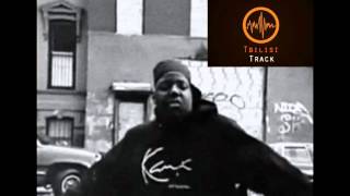 Biggie Smalls - Nobody