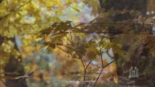 My Shepherd Will Supply My Need - Mormon Tabernacle Choir