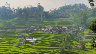 Download lagu Kecapi Suling Sunda Merdu Dengan Suasana Pedesaan dari Perbatasan Tasikmalaya - Garut ( Taraju ) mp3