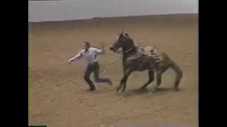 Futurebirds - Rodeo (Official Audio)