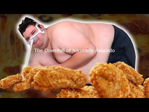 The downfall of Nikocado Avocado