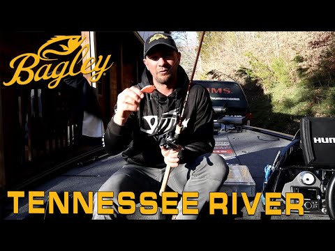Bassmaster Elite Preview – Tennessee River with Jeff Gustafson