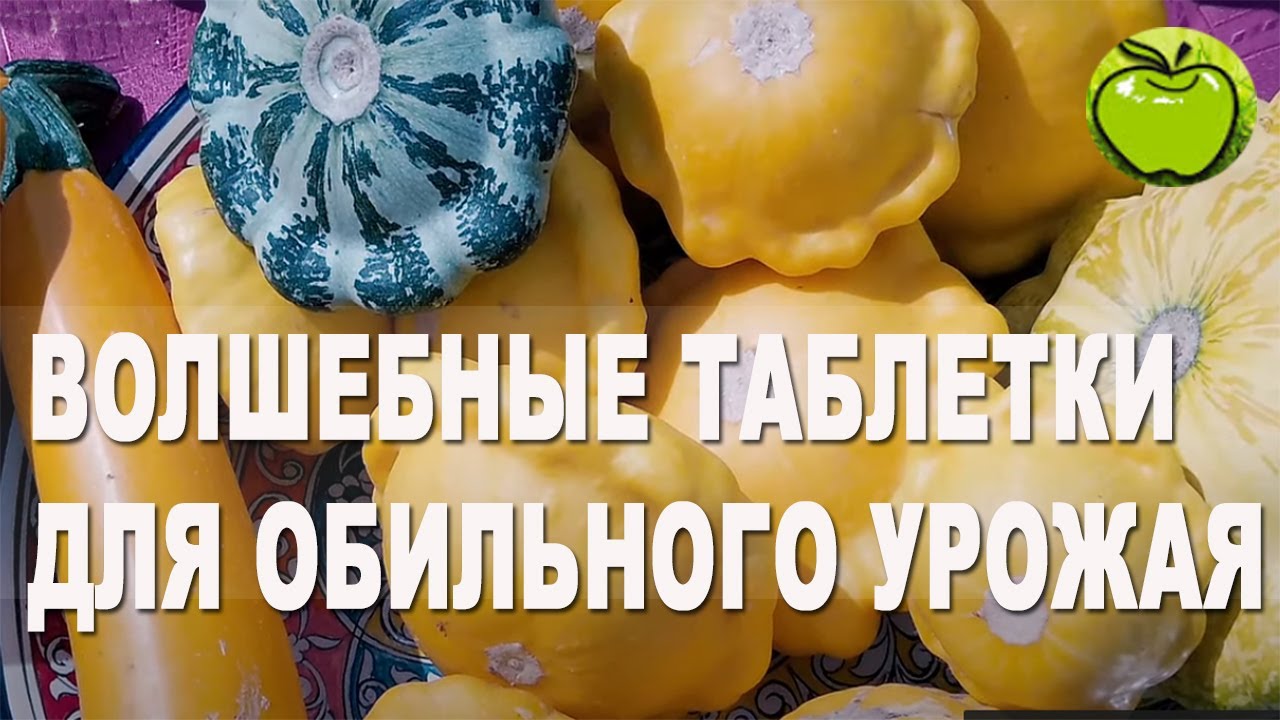 Волшебные таблетки для обильных урожаев томатов, огурцов и перцев