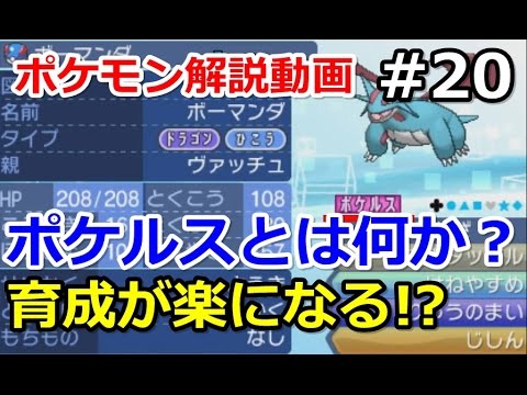 ポケスーディについて詳しく解説