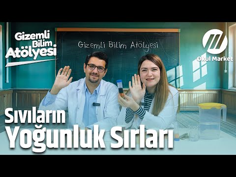 Renkli Deney