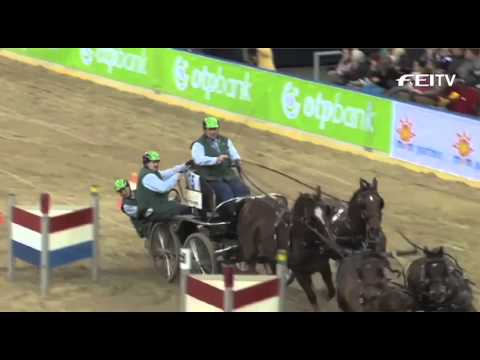 FEI World Cup Driving 2012/13 Budapest - Theo Timmermann 2nd Place