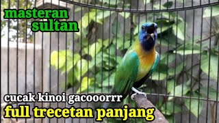 Download lagu masteran cucak kinoi full crecetan panjang mp3 Download lagu masteran cucak kinoi full crecetan panjang mp3