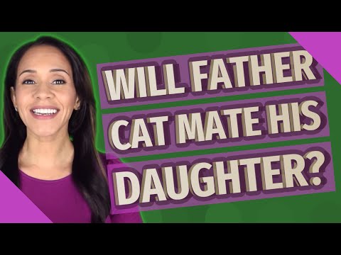 Will Father Cat Mate his daughter?