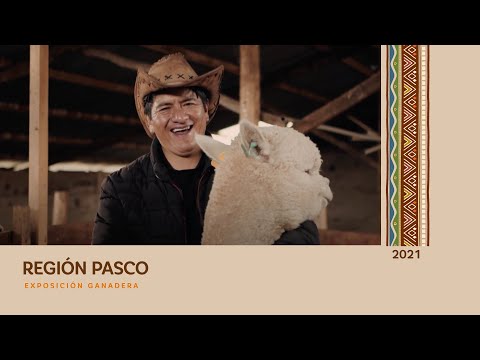Micro documental Región Pasco (VF)