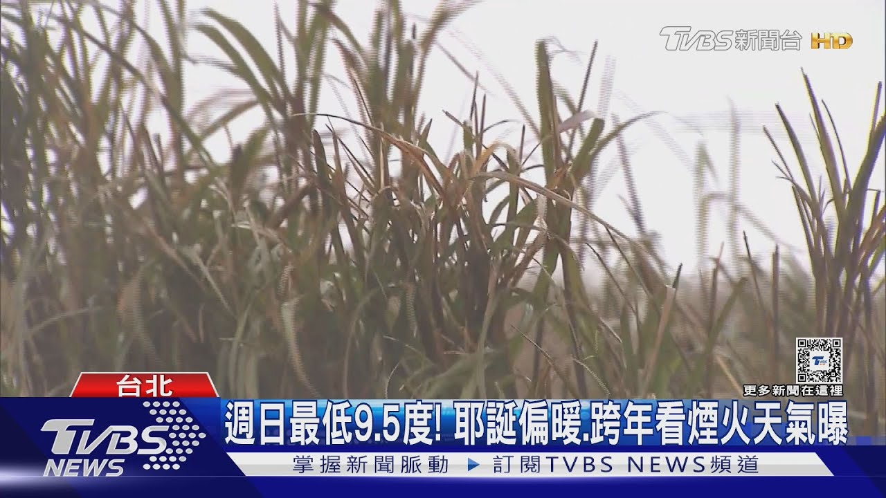 週日最低9.5度! 耶誕偏暖、跨年看煙火天氣曝
