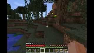 Lets Play: MINECRAFT #2 - Cow Skin