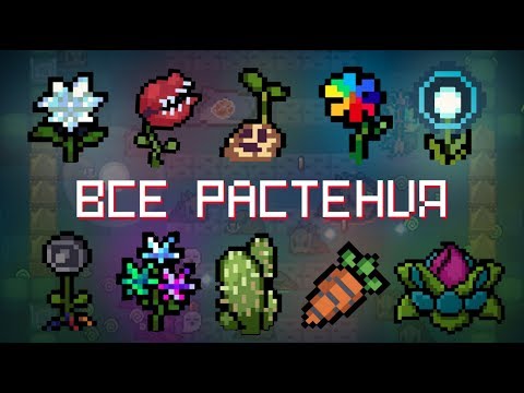 Все Растения в Soul Knight (ft. Иной PLAYS) | All Plants in Soul Knight!