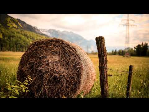 Sven Karlsson - An Hour Too Late