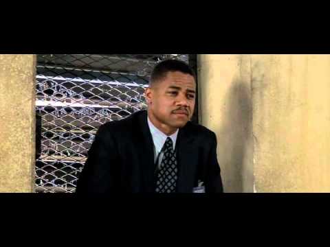 Instinkt - die Antwort