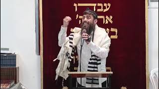 ממעלת לג בעומר - ר' יוסי קוק בחיזוקים ללג בעומר מאביו הרב דב קוק שליט"א