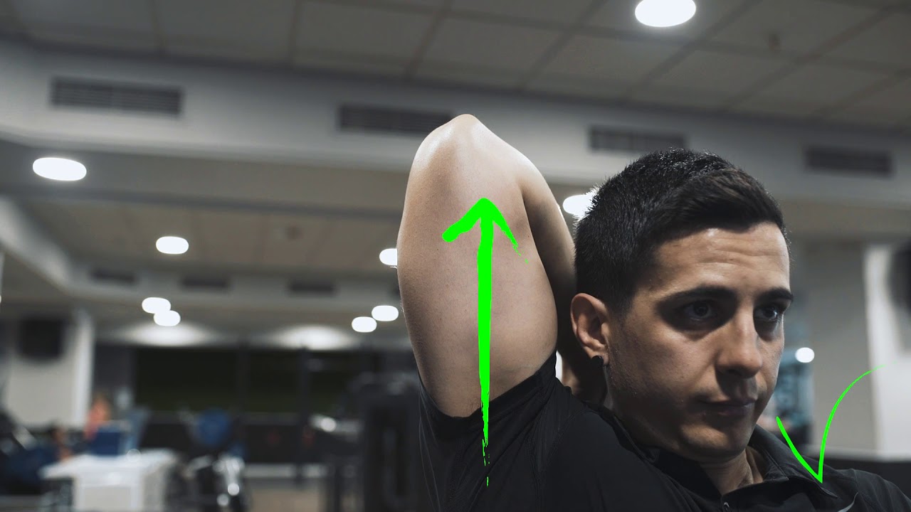 Watch TRÍCEPS con MANCUERNA por encima de la cabeza | GFit Coach Now TRÍCEPS con MANCUERNA por encima de la cabeza | GFit Coach