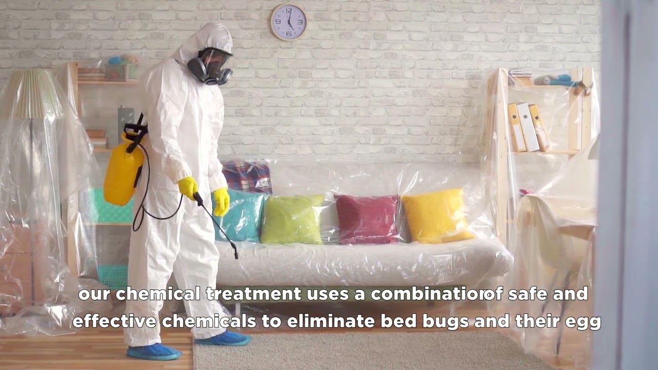 Bed Bug Exterminator | Pest Control Services