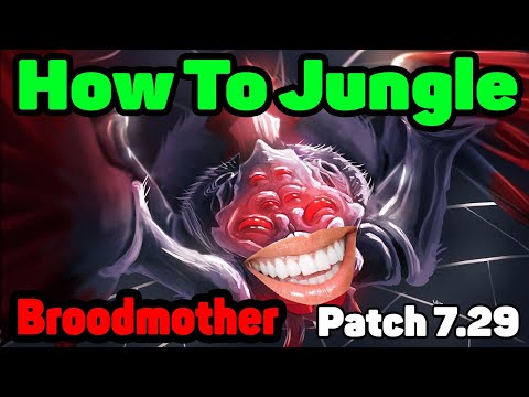DoTa 2 How To Jungle Broodmother patch 7.29 calm the frog