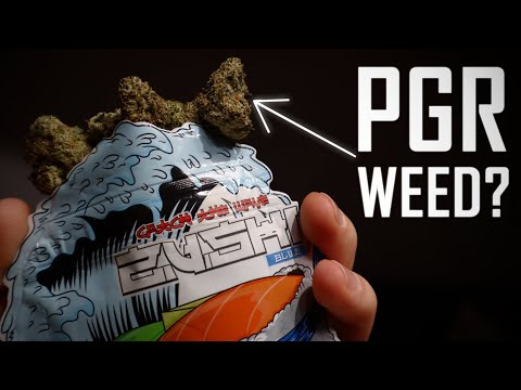 CANNABIS, CALI WEED und PGR | ein STRECKMITTEL, über das niemand spricht