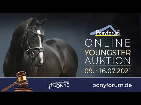 BÜNTEEICHEN ROSA Stute * 2018 v. Bünteeichens Ricardo / Quatman