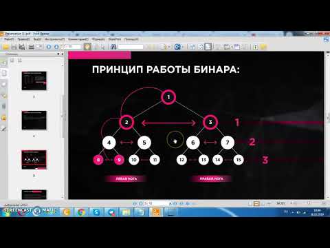 Криптолихорадка, которая охватит всех! Запуск проекта CryptoFever первого ноября в 14:00 МСК