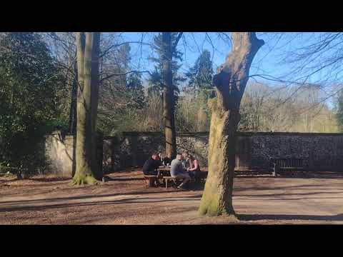 Brandon Country Park, West Suffolk spring 2022