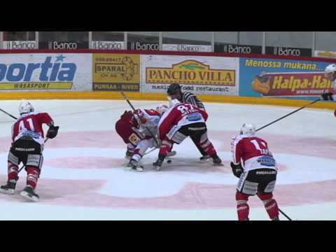 Sport - Hokki 29.12.2013