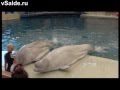 Заряд бодрости и энергии на целый день! 