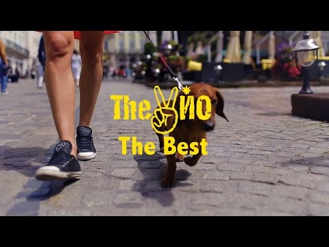 The ВЙО - The Best (official)