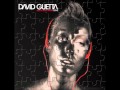 David Guetta - Distortion