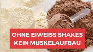 Helfen Protein Shakes beim Abnehmen ? ALLES ÜBER EIWEIß PULVER & PROTEIN SHAKES