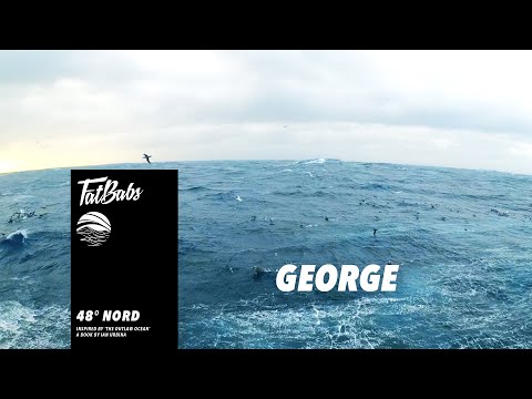 Fatbabs, Ian Urbina - George feat. Mos-B (Visualizer)
