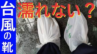 台風でも濡れない節約術【昔の再掲載】
