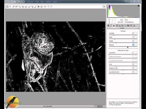 Como enfocar en Camera RAW en Photoshop