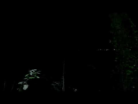 2026 NAITURE teaser trailer