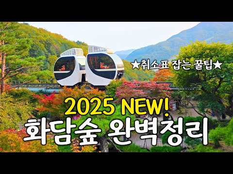 화담숲 방문 경험을 200% 즐기는 방법