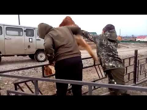 В якутском селе спасли корову, застрявшую на ограждении