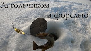 Платная рыбалка зона отдыха красная пресня