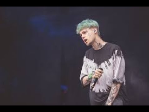 Taddl - Roast Yourself | Lyrics