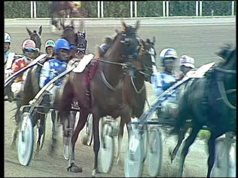 Trotto 13/05/2016 - 8° corsa