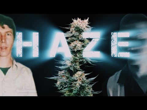 The Haze Cannabis Strain: Nevil & The Skunkman (Retro Tech)