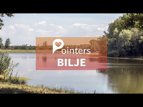 Bilje / Slavonija and Baranja / Croatia / Pointers Travel DMC / 4k