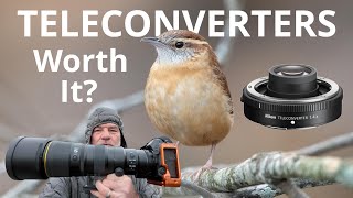 Are Teleconverters Worth It?