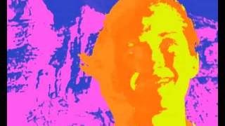 The Go! Team - Buy Nothing Day