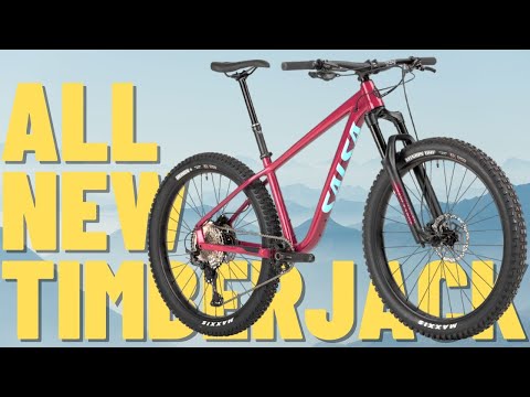 2021 Salsa Timberjack First Look Overview!